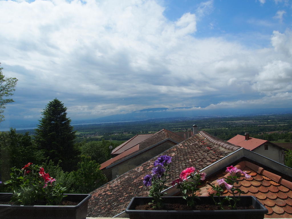 Les Lumieres De Geneve Bed & Breakfast Grilly Exterior photo